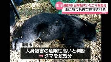 山奥に放したクマ　再び捕獲され殺処分　神奈川・秦野市