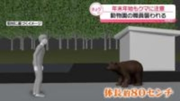 年末年始もクマに注意　動物園の職員襲われる　宮城や秋田で目撃相次ぐ