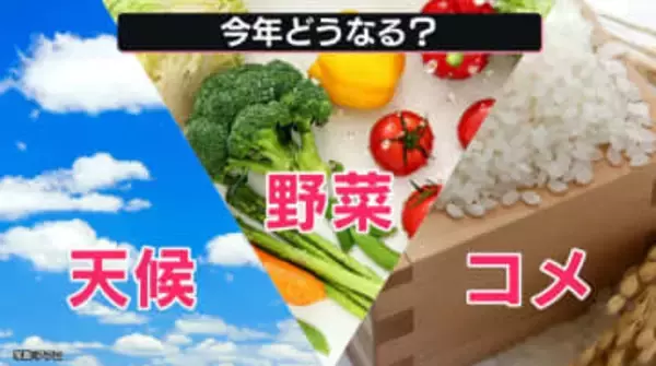 天気・野菜・コメ──2026年を大予測！　また“二季化”傾向か…春はすぐ終わる？　物価高に終わりは来る？【なるほどッ！】