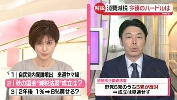 【解説】2年後「1％→8％」に戻せる？　飲食料品の消費税率「4月から1％」首相指示も自民党内からは異論も