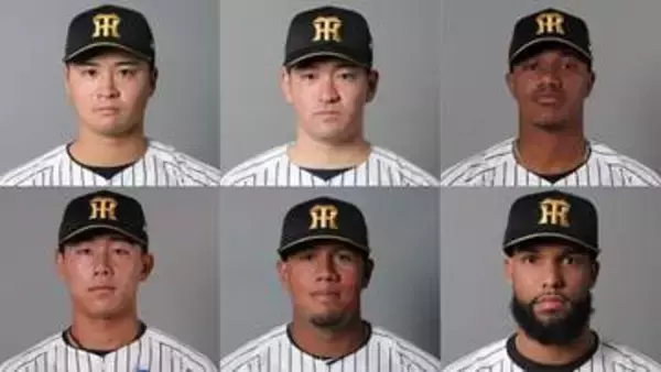 【阪神】育成6選手と来季の契約を結ばず　育成助っ人のマルティネス、アルナエス、コンスエグラは支配下昇格かなわず