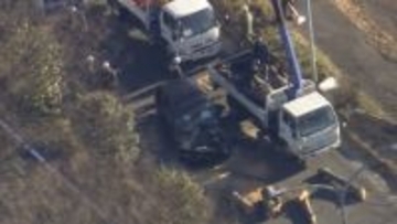 国道沿いの街路樹倒れる　車の家族4人ケガ　埼玉・狭山市