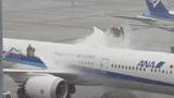 「雪の影響…空の便欠航相次ぐ　日本航空は85便、全日空は146便欠航　3万2000人あまりに影響」の画像1