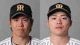 「【阪神】野手2選手を登録　2日前に若手捕手2人を抹消...梅野隆太郎が今季初昇格」の画像1