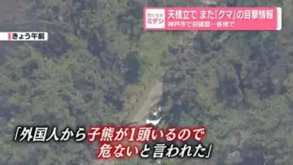 各地でクマ…天橋立でまた目撃情報　神戸市では“初確認”