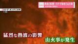 「熱波の影響…カナダ各地で山火事　大気汚染が深刻化…煙は米NYにも到達」の画像1