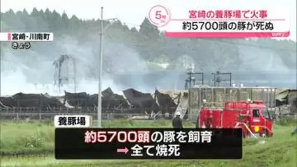 養豚場で火事　約5700頭の豚が死ぬ　宮崎