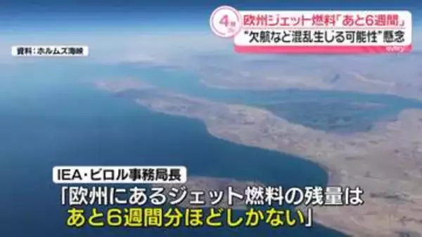 欧州ジェット燃料「あと6週間」　“欠航など混乱生じる可能性”懸念
