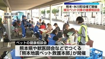 避難生活が続く中…被災したペット対象の健康相談会　熊本・氷川町