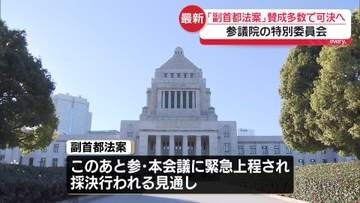 副首都法案、賛成多数で可決の見通し　参院特別委