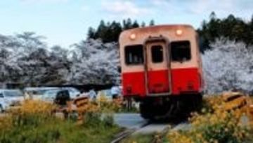 千葉・小湊鉄道　学生限定年間1万円で鉄道乗り放題パス発売へ　沿線子ども人口急減の危機感背景に