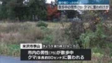 散歩中の男性（75）クマに襲われけが　顔や肩を引っかかれる　山形・米沢市