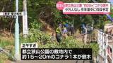 「都立狭山公園で倒木　車2台が接触もけが人なし」の画像1