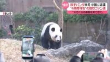 上野の双子パンダ来月返還　“4時間待ち”の熱烈ファン涙「大きくなる過程見てきた」