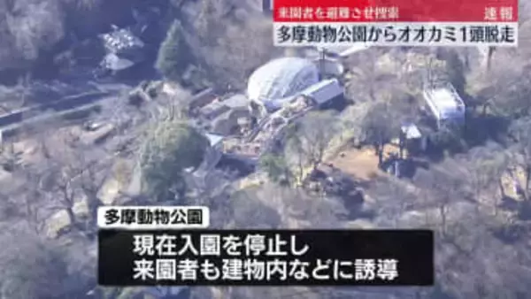 【速報】多摩動物公園でオオカミ1頭脱走　来園者を避難させ捜索　東京・日野市