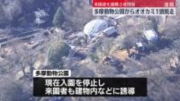 【速報】多摩動物公園でオオカミ1頭脱走　来園者を避難させ捜索　東京・日野市