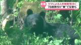 「「拳が鼻にあたった」クマに78歳男性が反撃　中学生のサッカー試合中に出没…約100人が避難も」の画像1