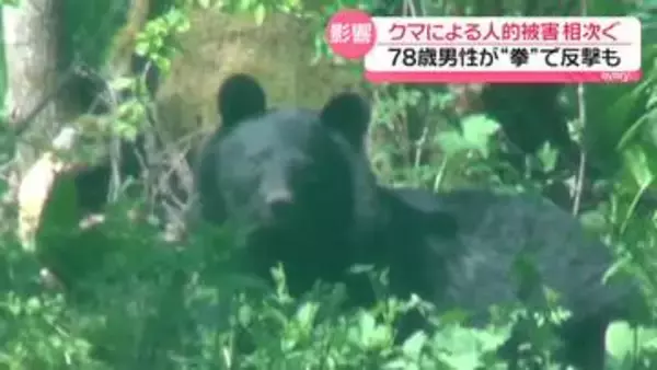 「拳が鼻にあたった」クマに78歳男性が反撃　中学生のサッカー試合中に出没…約100人が避難も