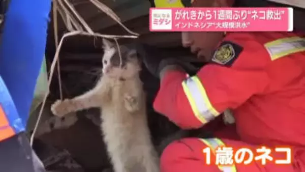 がれきから1週間ぶり“ネコ救出”　インドネシア“大規模洪水”