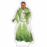 「細川たかし　白菜を身にまとったアクスタが話題　誕生のきっかけは小鳥の“勘違い”」の画像1