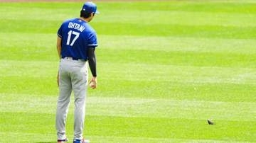 大谷翔平が小鳥に完敗　身長193cmの大谷に動じない鳥に逆にタジタジ　キャッチボール中にそわそわ