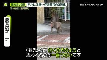 3連休は行楽日和も…サル被害に注意　観光地で目撃