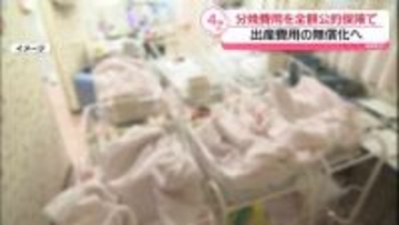 出産費用無償化めぐり　分娩費用を全額公的保険でまかなう案　厚労省