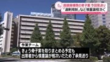 「国旗損壊罪」自民骨子案の了承見送り　罰則2年以下の拘禁刑など