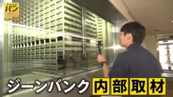 植物の遺伝資源を保存「ジーンバンクキュレーター」の仕事に密着　“未来の食卓を支える仕事”とは【バンキシャ！】