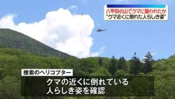 “クマ近くに倒れた人らしき姿”青森・八甲田の山でタケノコ採りの男性が行方不明