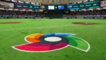 芝生の緑がいつもより明るめ？　東京ドームが7年ぶりに人工芝の刷新