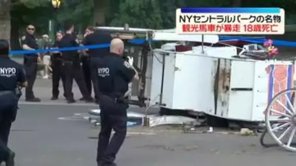 NY・セントラルパークで観光馬車が暴走　乗客の18歳男性が死亡