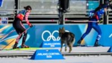 【珍事】“犬”が試合に乱入！クロスカントリーで選手と共に犬が気持ちよくゴール　フィニッシュ写真も撮られる粋な対応