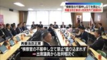 再審制度の改正案を巡り自民党内で異論相次ぐ　再審開始決定への検察官の不服申し立てを禁止しない内容に