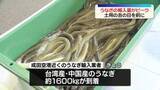 「うなぎの輸入量がピーク　「土用の丑の日」を前に」の画像1