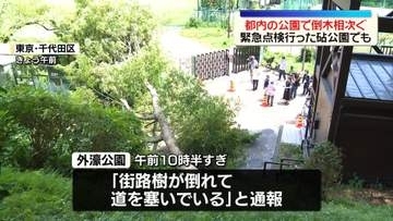 都内の公園で倒木相次ぐ　外濠公園や緊急点検行った砧公園でも…