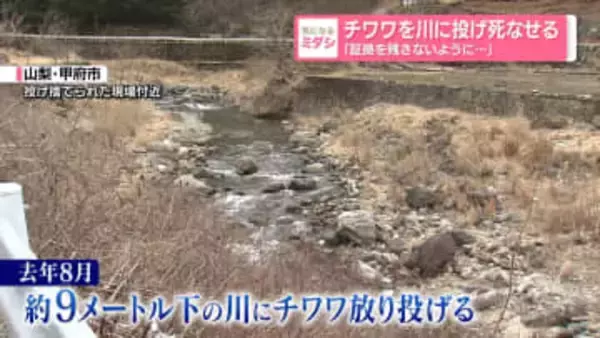 チワワを川に投げ死なせる　「証拠を残さないように…」