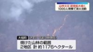 岩手・大槌町の山林火災、延焼拡大続く…鎮圧のめど立たず　1000人規模で消火活動【中継】