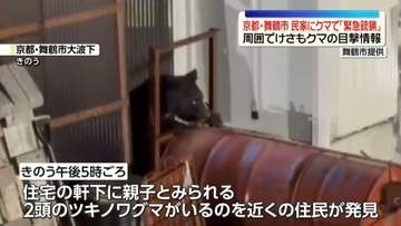 京都・舞鶴市の民家にクマ…府内初の「緊急銃猟」　周囲でけさも“クマ”の目撃情報