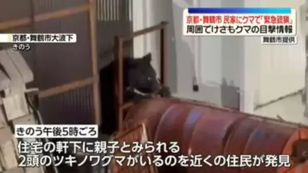 京都・舞鶴市の民家にクマ…府内初の「緊急銃猟」　周囲でけさも“クマ”の目撃情報