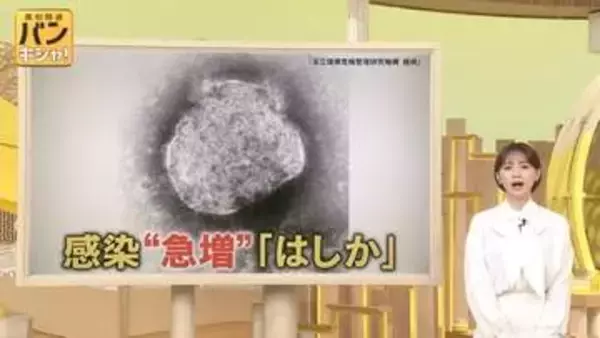 【感染急増のはしか】治療薬は？ 妊婦は？ 街で聞かれたギモン、専門家に聞きました【バンキシャ！】