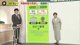 「【解説】「再審制度の見直し」協議続く　“検察抗告”禁止の記載…ポイントは「付則」か「本則」か」の画像1