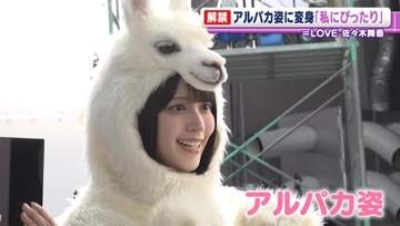 ＝LOVE・佐々木舞香がアルパカに変身　グループ内しか伝わらない言葉「つめつめ草で」とは？