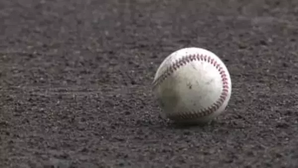 「大会関係者の人権や心身に影響」高校野球連盟がSNSのひぼう中傷へ声明　法的措置を含めた対応とる