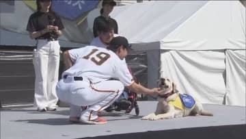 巨人・山崎伊織が支援する介助犬とは？