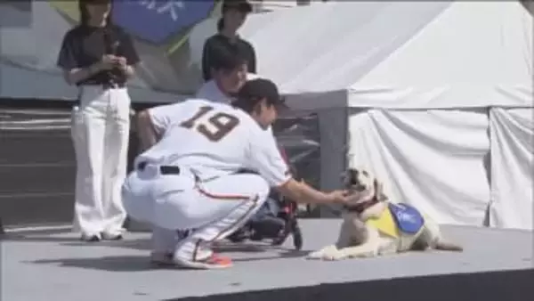 巨人・山崎伊織が支援する介助犬とは？