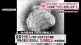 「異例のはしか流行 　ワクチン「不足という情報が…」医師は問題指摘　“隠れコロナ”も増加か」の画像1