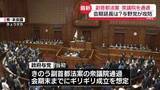 「【中継】副首都法案　衆議院を通過　会期延長は？　与野党が攻防」の画像1