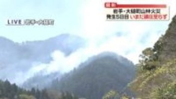 岩手の山林火災、いまだ鎮圧に至らず　焼けた面積1373haに拡大