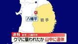 「山中に遺体…“獣に引っかかれたような傷”クマに襲われたか　岩手・八幡平市」の画像1